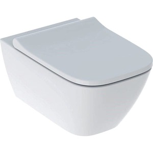 WC soft close ülőkévelhátsó kifolyással öblítési kör nélkül. A csomag  ülőkével együtt. Öblítési mennyiség 2,5 / 4,5 liter.