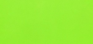 Burkolat Ribesalbes Chic Colors verde 10x20 cm fényes CHICC1456